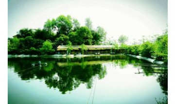 重慶美家農(nóng)業(yè)開發(fā)有限責任公司全...