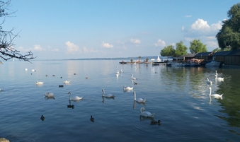 行業(yè)網(wǎng)站建設(shè)、北京網(wǎng)絡(luò)公司　旅游網(wǎng)站建設(shè)