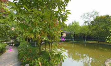 成都東山明珠會展旅游公司全景圖