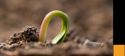 微信小程序、包裝制作小程序