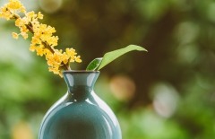 北京網(wǎng)站建設(shè)、北京網(wǎng)站建設(shè)公司、北京網(wǎng)絡(luò)公司