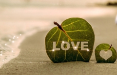 北京做網(wǎng)站公司、高端網(wǎng)站建設(shè)、高端品牌網(wǎng)站建設(shè)、北京網(wǎng)絡(luò)公司