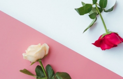 北京網(wǎng)站建設(shè)、北京網(wǎng)站建設(shè)公司、北京網(wǎng)站制作公司、北京網(wǎng)站制作、北京做網(wǎng)站