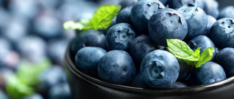 北京網(wǎng)站建設、北京網(wǎng)站建設公司、北京網(wǎng)站制作公司、北京專業(yè)網(wǎng)站建設公司、星誠視野、北京專業(yè)網(wǎng)站建設、北京網(wǎng)站建設公司、北京星誠視野網(wǎng)絡科技有限公司