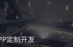 app開發(fā)、原生APP開發(fā)、app定制開發(fā)、APP開發(fā)公司 