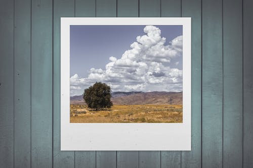 北京做網(wǎng)站、高端品牌網(wǎng)站建設(shè)、北京網(wǎng)頁設(shè)計公司、北京高端網(wǎng)站建設(shè)、教育類網(wǎng)站建設(shè)