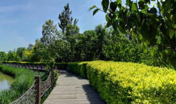 塘沽森林公園全景圖