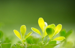 北京網(wǎng)站建設(shè)、北京網(wǎng)站建設(shè)公司、北京網(wǎng)站制作公司、北京網(wǎng)站制作、北京做網(wǎng)站