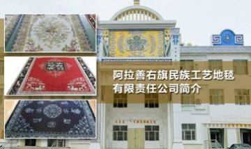 民族工藝地毯有限責任公司全景圖