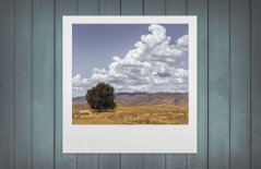 北京做網(wǎng)站、高端品牌網(wǎng)站建設(shè)、北京網(wǎng)頁(yè)設(shè)計(jì)公司、北京高端網(wǎng)站建設(shè)、教育類網(wǎng)站建設(shè)