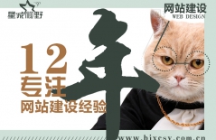 北京網(wǎng)站建設、北京網(wǎng)站制作公司、高端品牌網(wǎng)站建設、北京高端網(wǎng)站建設