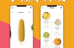 微信小程序開發(fā)，小程序開發(fā)，微信小程序，小程序商城