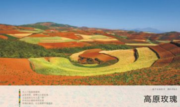 鳳嶺兒童公園全景圖