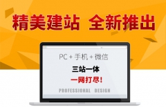 貨運(yùn)平臺(tái)、物流網(wǎng)站開發(fā)